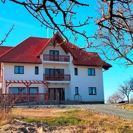 Casa Comilor Bed & Breakfast Surdesti  Ngoại thất bức ảnh