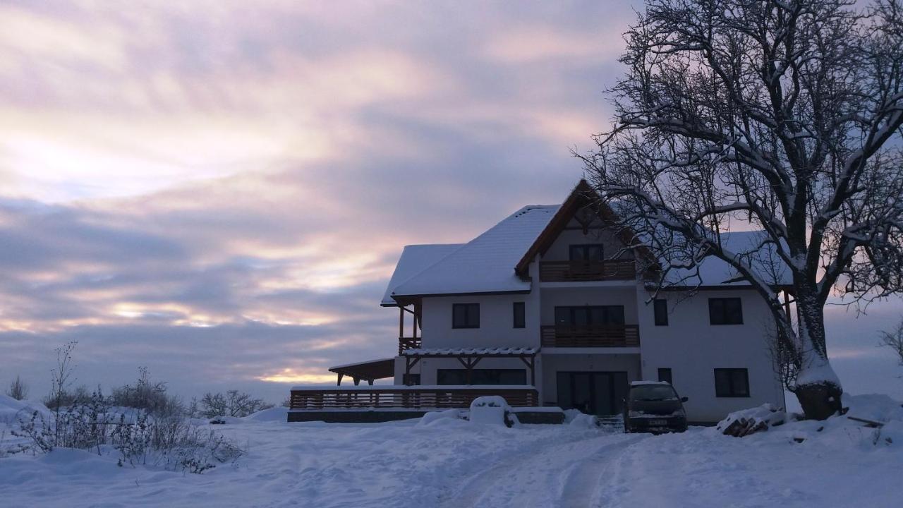 Casa Comilor Bed & Breakfast Surdesti  Ngoại thất bức ảnh