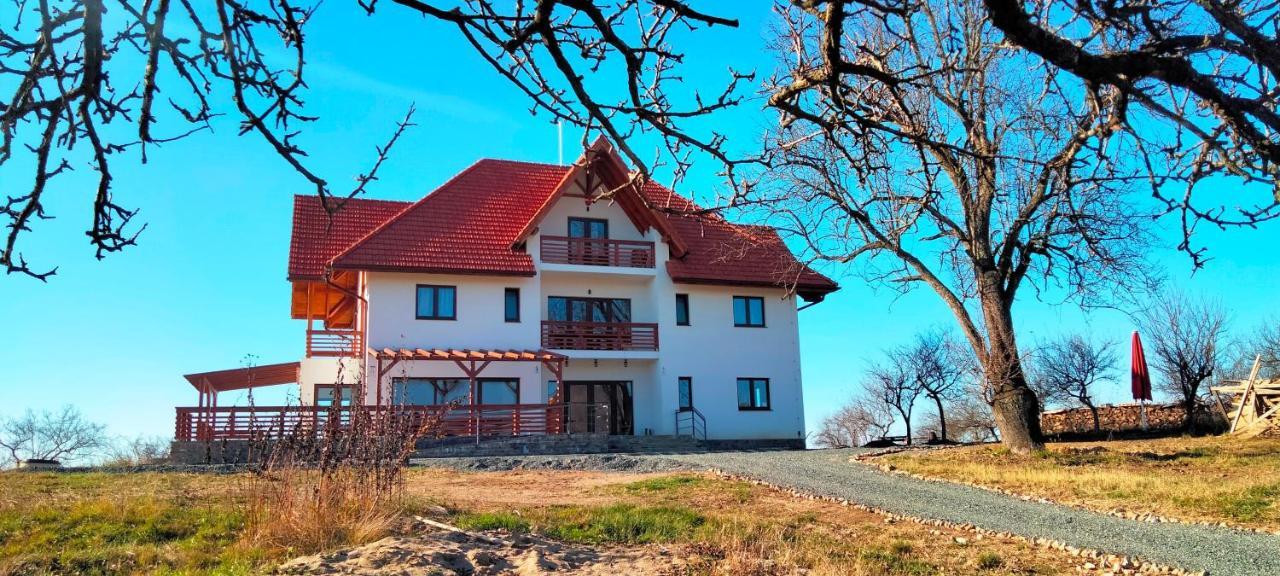 Casa Comilor Bed & Breakfast Surdesti  Ngoại thất bức ảnh